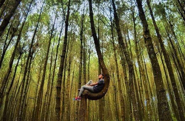 Tips Liburan Akhir Tahun